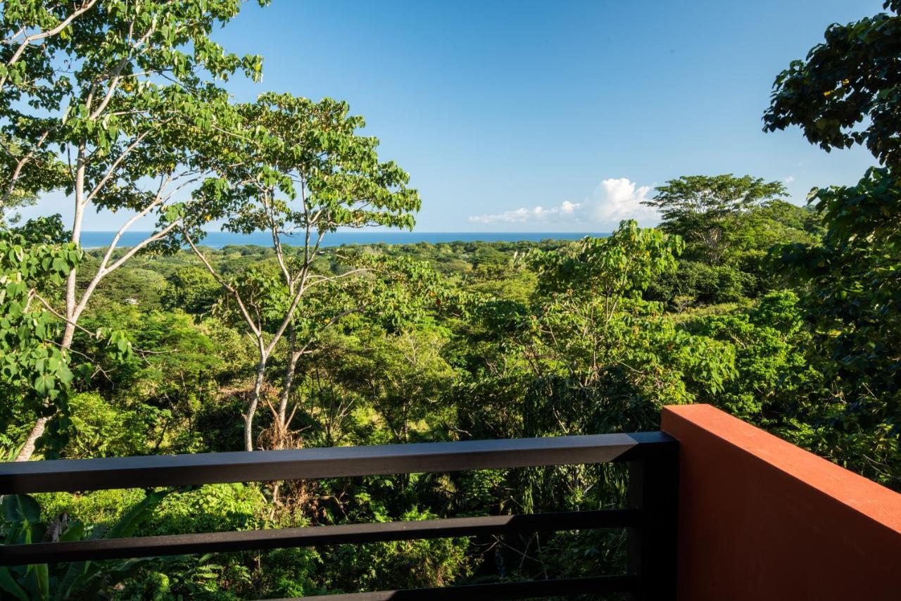 Jungle Lodge At Wild Sun Rescue Center Cabuya  Esterno foto