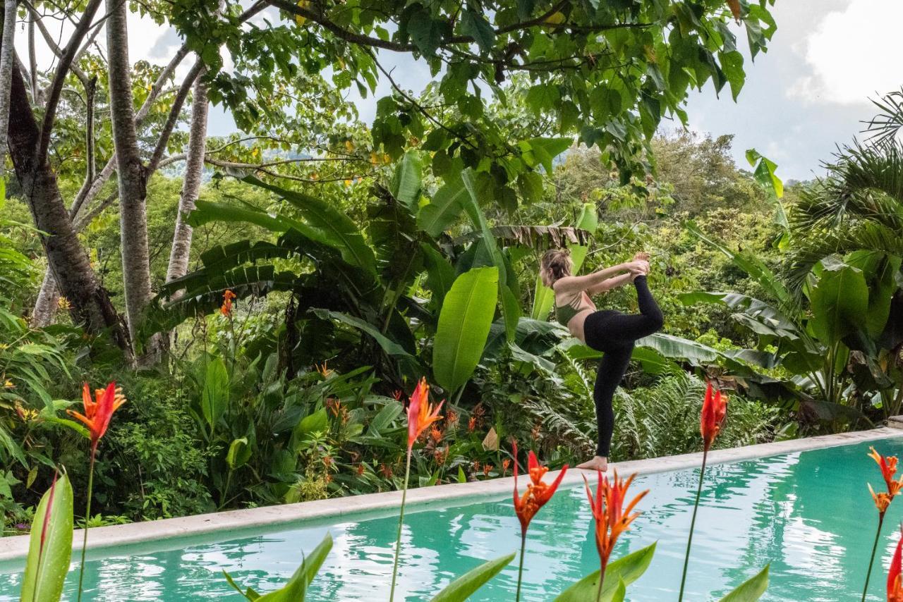 Jungle Lodge At Wild Sun Rescue Center Cabuya  Esterno foto